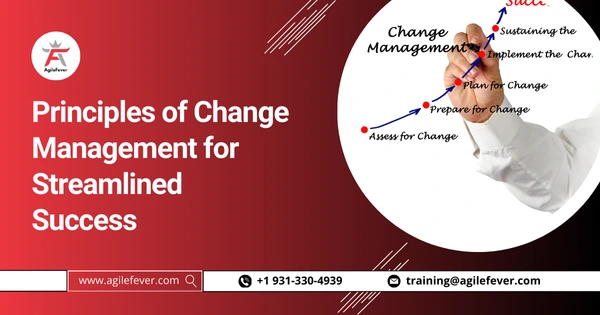 Principles-of-Change-Management-for-Streamlined-Success